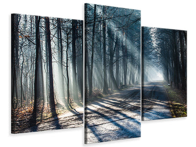 modern-3-piece-canvas-print-forest-in-the-light-beam