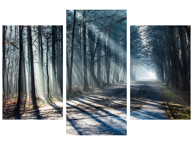 modern-3-piece-canvas-print-forest-in-the-light-beam