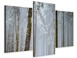 modern-3-piece-canvas-print-forest-in-winter