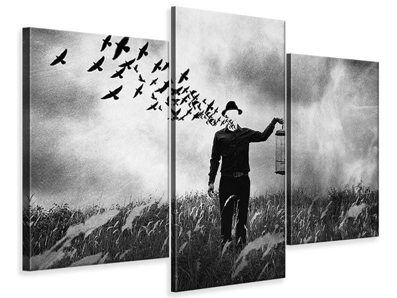 modern-3-piece-canvas-print-freedom