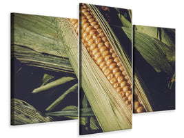 modern-3-piece-canvas-print-fresh-sweetcorn