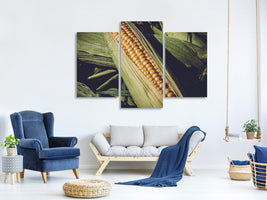 modern-3-piece-canvas-print-fresh-sweetcorn