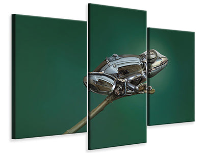modern-3-piece-canvas-print-frog