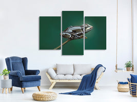 modern-3-piece-canvas-print-frog