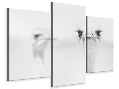 modern-3-piece-canvas-print-funny-ostrich