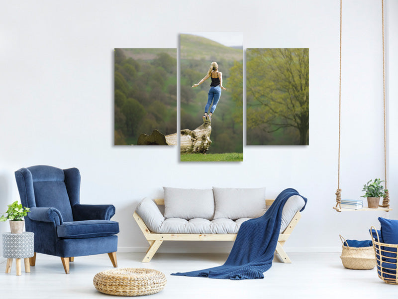 modern-3-piece-canvas-print-genuine-nature-experience