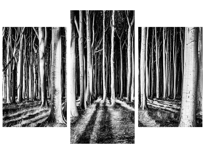 modern-3-piece-canvas-print-ghost-forest