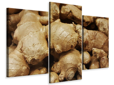 modern-3-piece-canvas-print-ginger-tubers