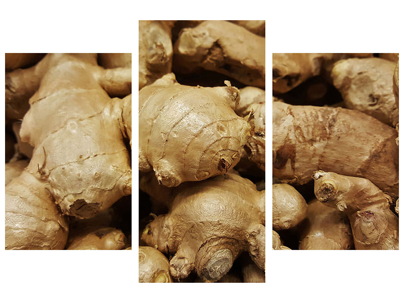 modern-3-piece-canvas-print-ginger-tubers