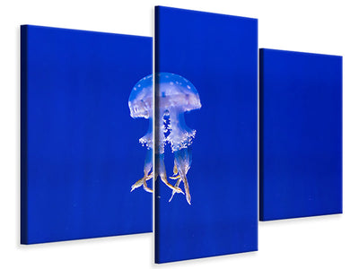modern-3-piece-canvas-print-glowing-jellyfish