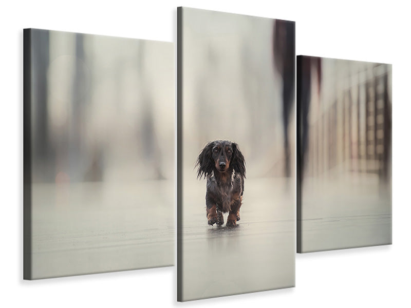 modern-3-piece-canvas-print-going-home