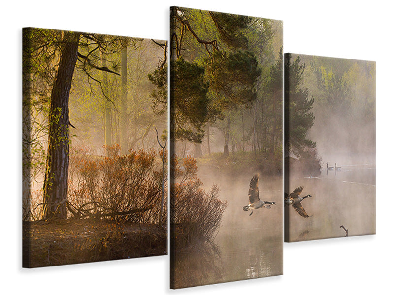 modern-3-piece-canvas-print-goose-fight