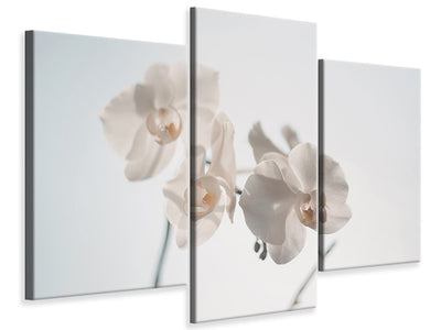 modern-3-piece-canvas-print-graceful-orchids