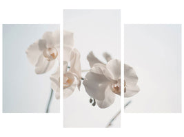 modern-3-piece-canvas-print-graceful-orchids