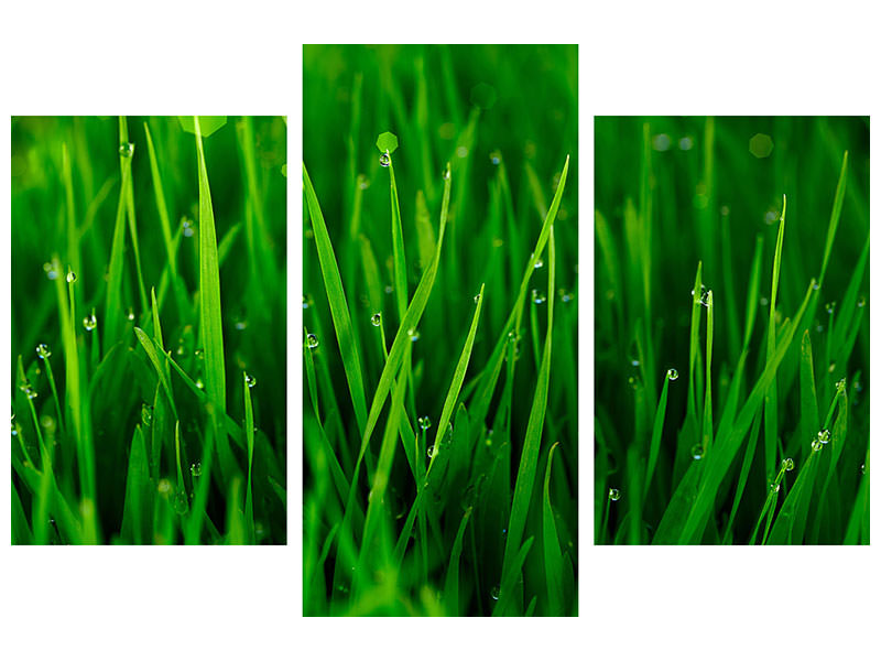 modern-3-piece-canvas-print-grass-with-morning-dew