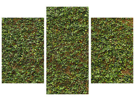 modern-3-piece-canvas-print-green-ivy-leaves-wall