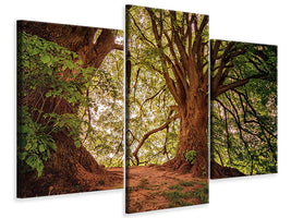 modern-3-piece-canvas-print-in-the-dense-forest