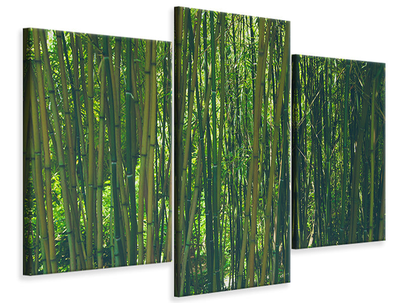 modern-3-piece-canvas-print-in-the-middle-of-the-bamboo
