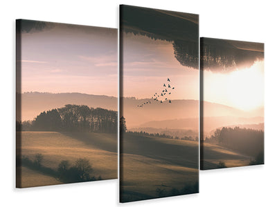 modern-3-piece-canvas-print-interplanar