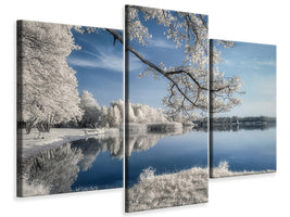 modern-3-piece-canvas-print-irenkowo