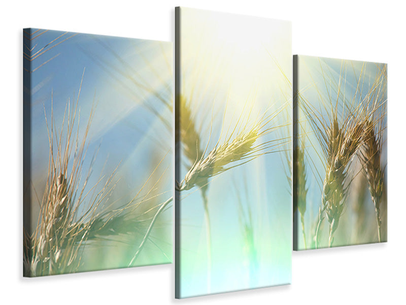 modern-3-piece-canvas-print-king-of-cereals