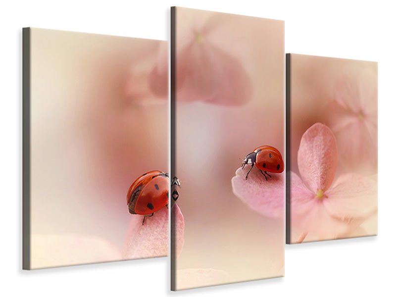 modern-3-piece-canvas-print-ladybirds-on-pink-hydrangea