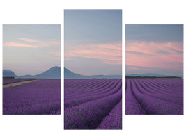modern-3-piece-canvas-print-lavender-field