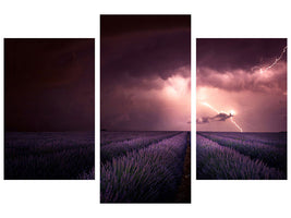 modern-3-piece-canvas-print-lavender-fragrance