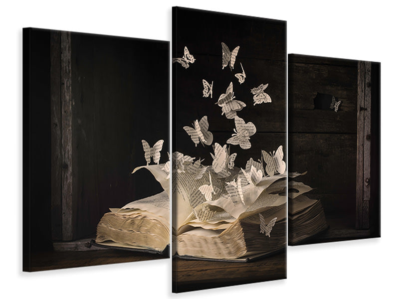 modern-3-piece-canvas-print-lepidopterology