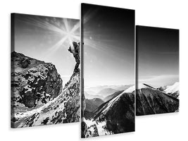 modern-3-piece-canvas-print-life-at-the-top
