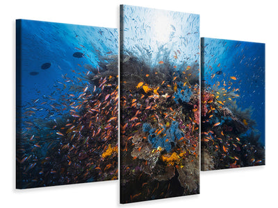 modern-3-piece-canvas-print-life-explosion