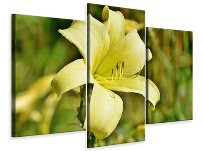 modern-3-piece-canvas-print-lilies-blossom-in-yellow