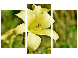 modern-3-piece-canvas-print-lilies-blossom-in-yellow