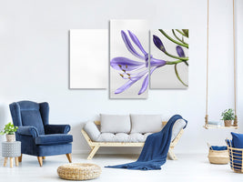 modern-3-piece-canvas-print-lily-flower-in-purple