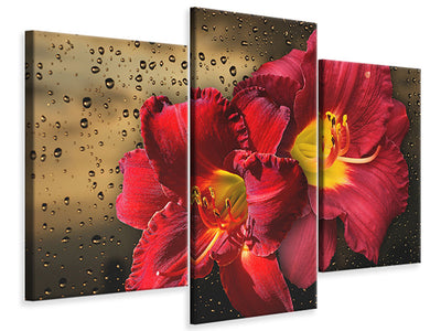 modern-3-piece-canvas-print-lily-flowers-with-water-drops