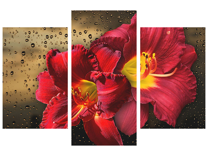 modern-3-piece-canvas-print-lily-flowers-with-water-drops