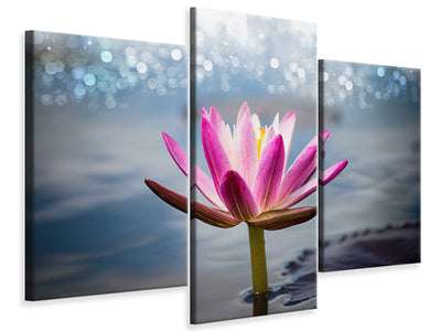 modern-3-piece-canvas-print-lotus-in-the-morning-dew