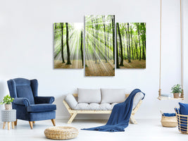 modern-3-piece-canvas-print-magic-light-in-the-trees