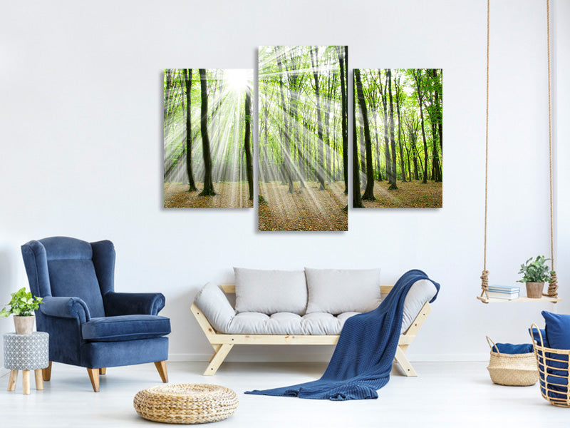 modern-3-piece-canvas-print-magic-light-in-the-trees