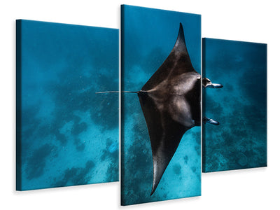 modern-3-piece-canvas-print-manta-fly