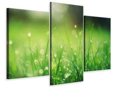 modern-3-piece-canvas-print-meadow-with-morning-dew