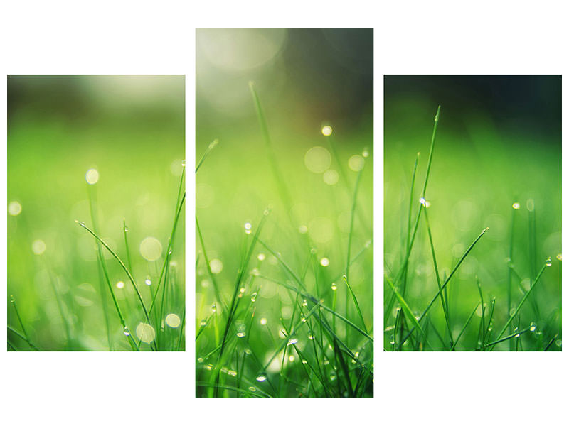 modern-3-piece-canvas-print-meadow-with-morning-dew