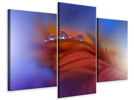 modern-3-piece-canvas-print-metamorphosis