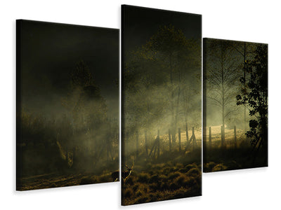 modern-3-piece-canvas-print-misty-morning-ii