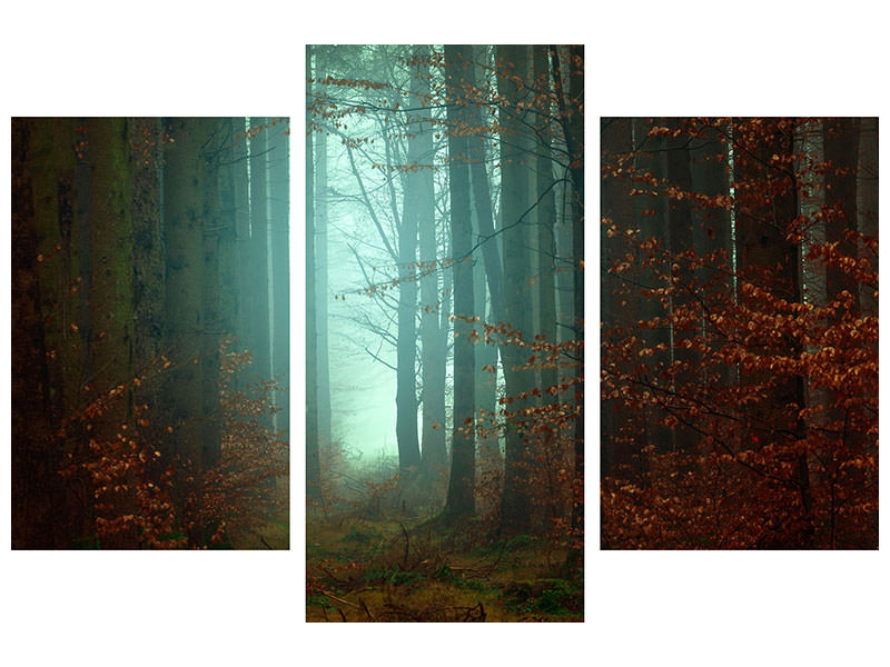 modern-3-piece-canvas-print-mood-in-the-forest