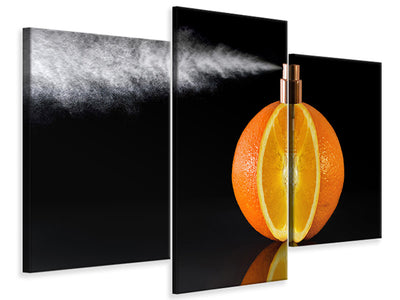 modern-3-piece-canvas-print-natural-perfum
