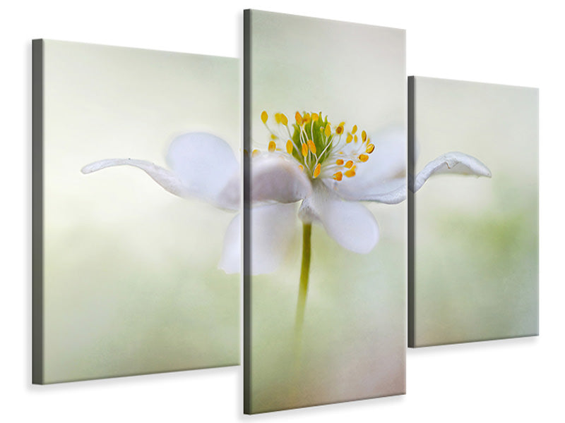 modern-3-piece-canvas-print-nemorosa