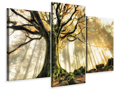 modern-3-piece-canvas-print-november