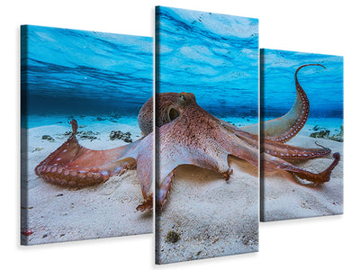 modern-3-piece-canvas-print-octopus