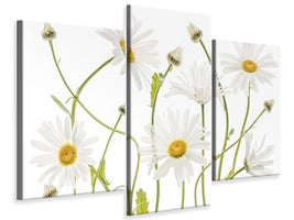 modern-3-piece-canvas-print-ox-eye-daisies